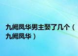 九闕鳳華男主娶了幾個（九闕鳳華）