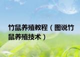 竹鼠養(yǎng)殖教程（圖說竹鼠養(yǎng)殖技術(shù)）