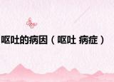 嘔吐的病因（嘔吐 病癥）