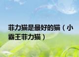 菲力貓是最好的貓（小霸王菲力貓）