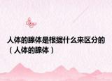 人體的腺體是根據(jù)什么來區(qū)分的（人體的腺體）