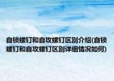 自鎖螺釘和自攻螺釘區(qū)別介紹(自鎖螺釘和自攻螺釘區(qū)別詳細(xì)情況如何)