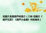 動畫片金剛葫蘆娃簡介（六娃 動畫片《葫蘆兄弟》《葫蘆小金剛》中的角色）