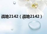 戰(zhàn)地2142（戰(zhàn)地2142）