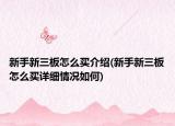 新手新三板怎么買介紹(新手新三板怎么買詳細(xì)情況如何)
