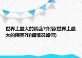 世界上最大的陰莖?介紹(世界上最大的陰莖?詳細(xì)情況如何)