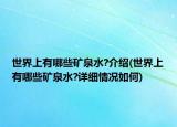 世界上有哪些礦泉水?介紹(世界上有哪些礦泉水?詳細(xì)情況如何)