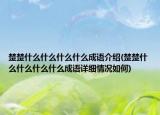 楚楚什么什么什么什么成語(yǔ)介紹(楚楚什么什么什么什么成語(yǔ)詳細(xì)情況如何)