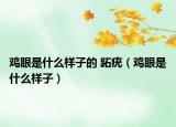 雞眼是什么樣子的 跖疣（雞眼是什么樣子）