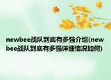 newbee戰(zhàn)隊(duì)到底有多強(qiáng)介紹(newbee戰(zhàn)隊(duì)到底有多強(qiáng)詳細(xì)情況如何)