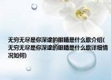 無窮無盡是你深邃的眼睛是什么歌介紹(無窮無盡是你深邃的眼睛是什么歌詳細(xì)情況如何)