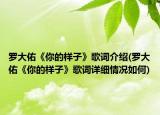 羅大佑《你的樣子》歌詞介紹(羅大佑《你的樣子》歌詞詳細(xì)情況如何)