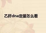 乙肝dna定量怎么看<1.00+02是什么問題