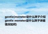 gentle(monster是什么牌子介紹 gentle monster是什么牌子詳細情況如何)