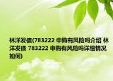 林洋發(fā)債(783222 申購有風(fēng)險嗎介紹 林洋發(fā)債 783222 申購有風(fēng)險嗎詳細(xì)情況如何)