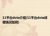 11平臺dota介紹(11平臺dota詳細情況如何)