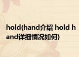 hold(hand介紹 hold hand詳細(xì)情況如何)