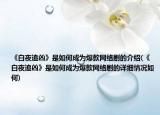 《白夜追兇》是如何成為爆款網(wǎng)絡(luò)劇的介紹(《白夜追兇》是如何成為爆款網(wǎng)絡(luò)劇的詳細情況如何)