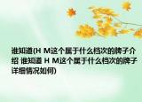 誰(shuí)知道(H M這個(gè)屬于什么檔次的牌子介紹 誰(shuí)知道 H M這個(gè)屬于什么檔次的牌子詳細(xì)情況如何)