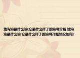 地溝油是什么油(它是什么樣子的油啊介紹 地溝油是什么油 它是什么樣子的油啊詳細情況如何)
