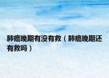 肺癌晚期有沒有救（肺癌晚期還有救嗎）