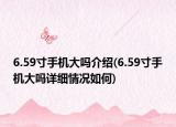 6.59寸手機(jī)大嗎介紹(6.59寸手機(jī)大嗎詳細(xì)情況如何)