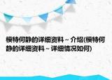 模特何靜的詳細資料～介紹(模特何靜的詳細資料～詳細情況如何)