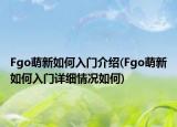 Fgo萌新如何入門介紹(Fgo萌新如何入門詳細(xì)情況如何)