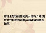 有什么好玩的休閑類pc游戲介紹(有什么好玩的休閑類pc游戲詳細情況如何)