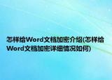 怎樣給Word文檔加密介紹(怎樣給Word文檔加密詳細(xì)情況如何)