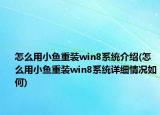 怎么用小魚重裝win8系統(tǒng)介紹(怎么用小魚重裝win8系統(tǒng)詳細情況如何)