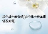 求個戰(zhàn)士宏介紹(求個戰(zhàn)士宏詳細情況如何)