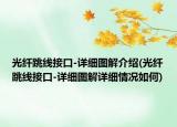 光纖跳線接口-詳細圖解介紹(光纖跳線接口-詳細圖解詳細情況如何)