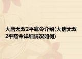 大唐無雙2平寇令介紹(大唐無雙2平寇令詳細情況如何)