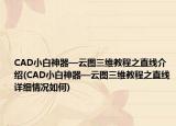 CAD小白神器—云圖三維教程之直線介紹(CAD小白神器—云圖三維教程之直線詳細(xì)情況如何)