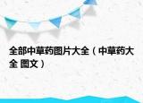 全部中草藥圖片大全（中草藥大全 圖文）