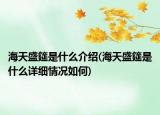 海天盛筵是什么介紹(海天盛筵是什么詳細(xì)情況如何)