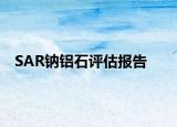 SAR鈉鋁石評(píng)估報(bào)告
