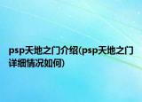 psp天地之門介紹(psp天地之門詳細情況如何)