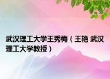 武漢理工大學(xué)王秀梅（王艷 武漢理工大學(xué)教授）