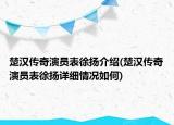 楚漢傳奇演員表徐揚(yáng)介紹(楚漢傳奇演員表徐揚(yáng)詳細(xì)情況如何)