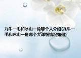 九牛一毛和冰山一角哪個大介紹(九牛一毛和冰山一角哪個大詳細(xì)情況如何)