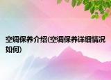 空調(diào)保養(yǎng)介紹(空調(diào)保養(yǎng)詳細(xì)情況如何)