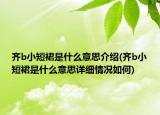齊b小短裙是什么意思介紹(齊b小短裙是什么意思詳細情況如何)