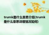 trumk是什么意思介紹(trumk是什么意思詳細情況如何)