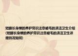 短腳長身梗的養(yǎng)護(hù)常識(shí)注意被毛的清潔衛(wèi)生介紹(短腳長身梗的養(yǎng)護(hù)常識(shí)注意被毛的清潔衛(wèi)生詳細(xì)情況如何)