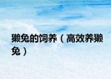 獺兔的飼養(yǎng)（高效養(yǎng)獺兔）