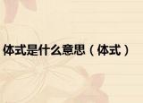 體式是什么意思（體式）