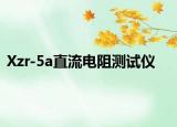 Xzr-5a直流電阻測試儀