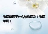 狗尾草屬于什么結構層次（狗尾草屬）